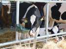 AGRO-TECH Minikowo 2017 (niedziela)