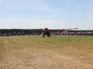 Opolagra 2013 cz.2