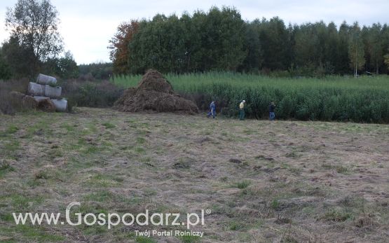 Ekologiczne produkty rolne.