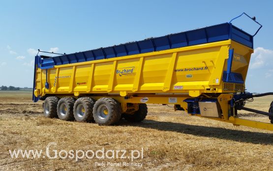 Rozrzutnik Brochard Pobił Rekord Guinessa