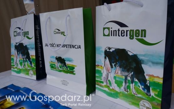 Intergen na OPOLAGRZE 2015