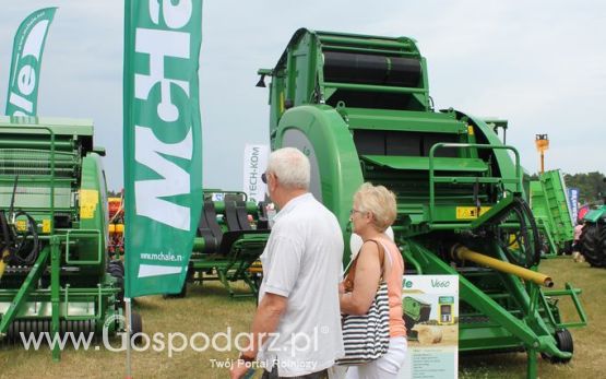 McHale na Opolagra 2012