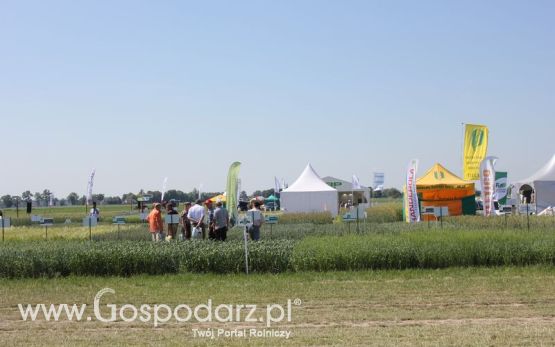Polskie Zboża 2011 - Sobota