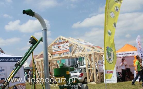 M-Rol na Opolagrze 2013
