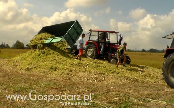 Kiszonka 2013