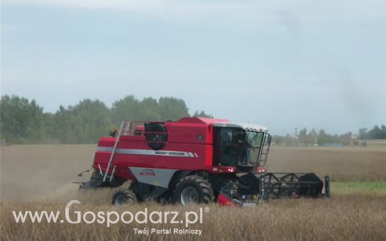 Żniwa Rzepakowe 2011