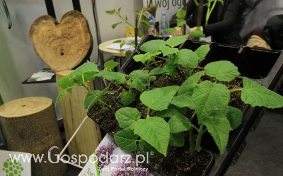 Oxytree na AGRO-PARK Lublin 2018