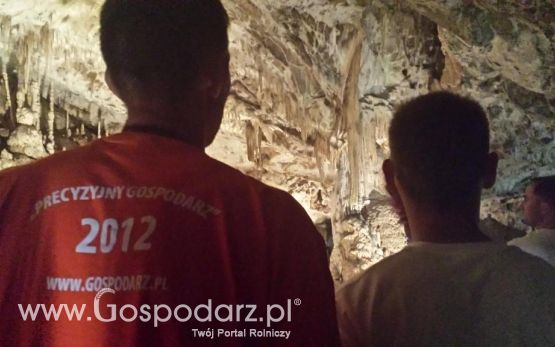 Precyzyjni Gospodarze w Czechach