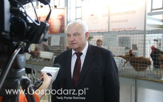 KWZH 2015 piątek