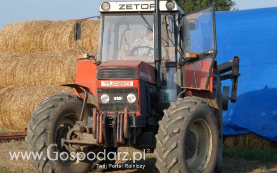 Głęboszowanie ZTS 16245 