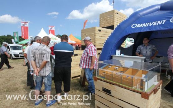 Omnivent na OPOLAGRZE 2015