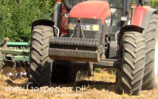 Talerzowane 2013 