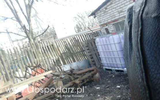 Wiosenne zdjęcia 
