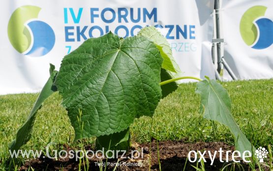 IV Forum Ekologiczne w Kołobrzegu