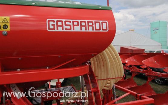 Maschio Gaspardoona na OPOLAGRA Kamień Śląski 2018