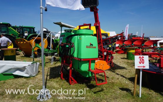 Krukowiak na ZIELONE AGRO SHOW w Ułężu 2017