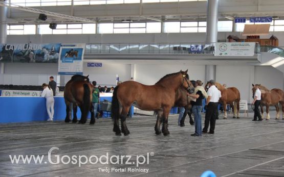 XXV Krajowa Wystawa Zwierząt Hodowlanych Niedziela