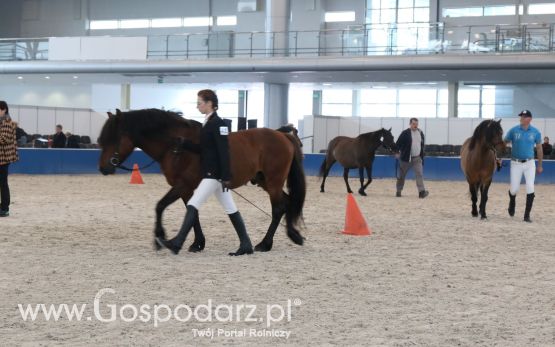 Krajowa Wystawa Zwierząt Hodowlanych w Poznaniu 2017 (niedziela, 7 maja)