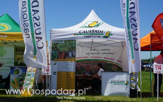 Caussade Nasiona Polska na ZIELONE AGRO SHOW w Ułężu 2017