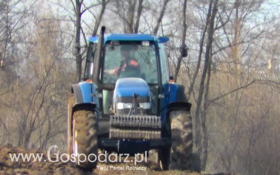 Orka 2013