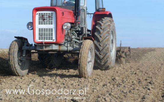 Wiosenne Przesiewki 2012 