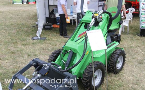 Serafin na OPOLAGRZE 2016