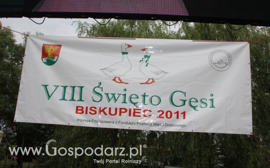 VIII Święto Gęsi w Biskupcu