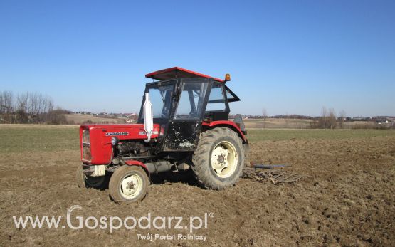 Fotki z wiosny 2015