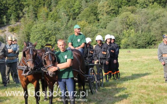 Pokazy konne i wręczenie nagród w Rudawce Rymanowskiej