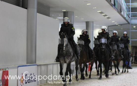 CAVALIADA 2013 w Poznaniu