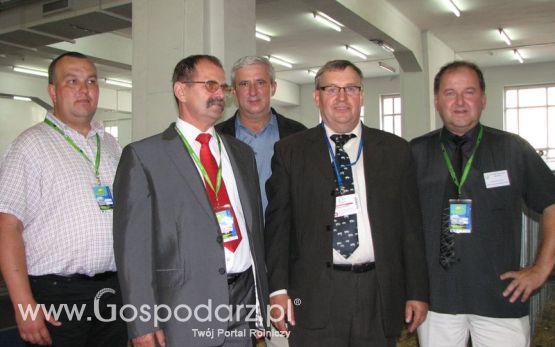 Lochy, knury na XXV Krajowej Wystawie Zwierząt Hodowlanych