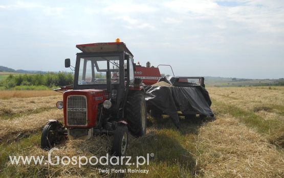 Piotrek9095,Żniwa 2012