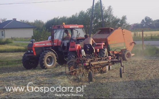 Sianokosy 2013