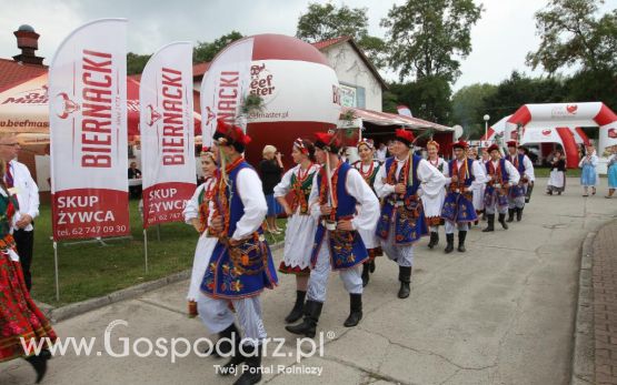 I Krajowa Wystawa Bydła Mięsnego w Sielinku - sobota
