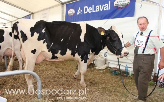 Opolagra 2012