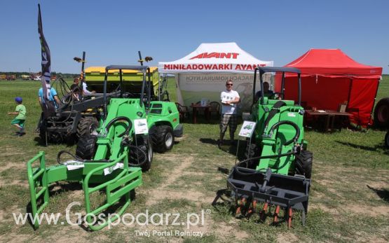 AVANT na ZIELONE AGRO SHOW 2016