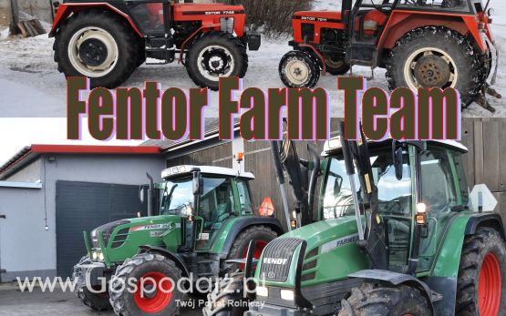 Fentor Farm Team