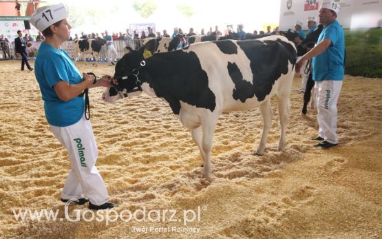 Agro-Tech Minikowo 2018