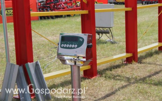 Ditta-Seria na Opolagrze 2013