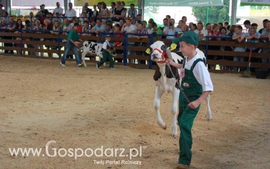 Młody Hodowca - Szepietowo 2013 XX Regionalna Wystawa Zwierząt Hodowlanych