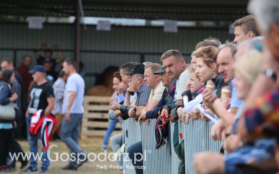 Regionalna Wystawa Zwierząt Hodowlanych i Dni z Doradztwem Rolniczym w Szepietowie 2017 (sobota)