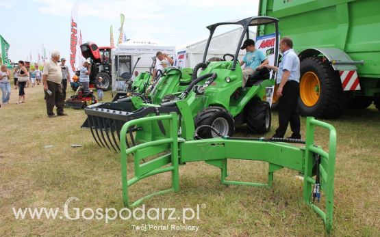 Serafin na Opolagra 2012