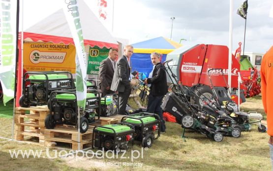 Husar na targach rolniczych Agroshow 2012 w Bednarach
