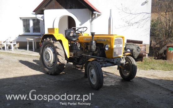  Piotrek9095