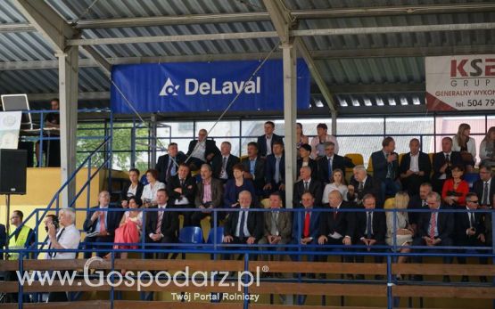 Wystawa zwierząt w Szepietowie