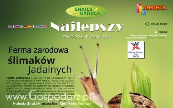 Hodowla ślimaków