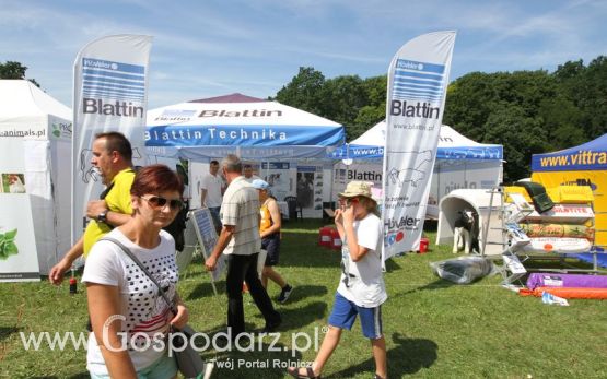 Blattin na Agro-Tech w Minikowie 2016