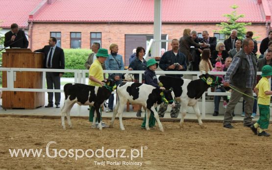 Mali Hodowcy VII Ogólnopolska Wystawa Bydła Hodowlanego w Sielinku 2012