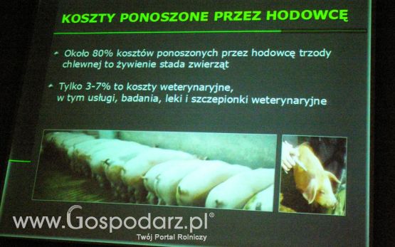 Konferencja przed II Festiwalem Wieprzowiny w Kwidzyniu