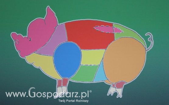 KWZH, Polagra Food poniedziałek-wtorek